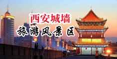 操屄的外国美女中国陕西-西安城墙旅游风景区